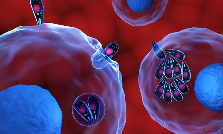 Επιλέχθηκε εικόνα