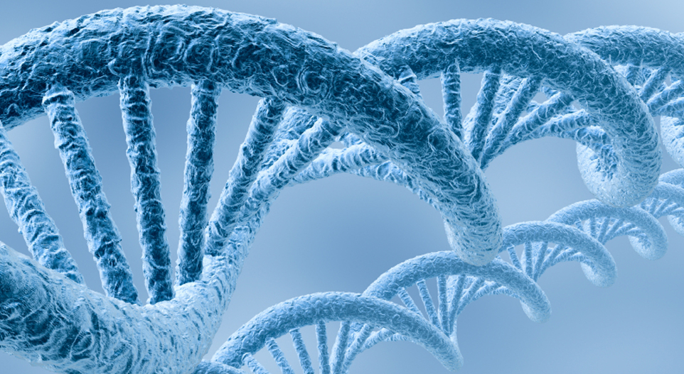 Επιλέχθηκε εικόνα