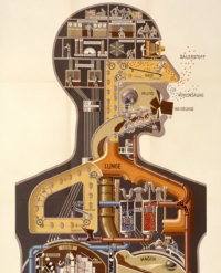 Επιλέχθηκε εικόνα